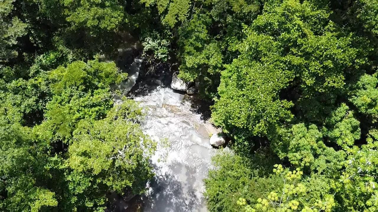 Naturaleza del proyecto