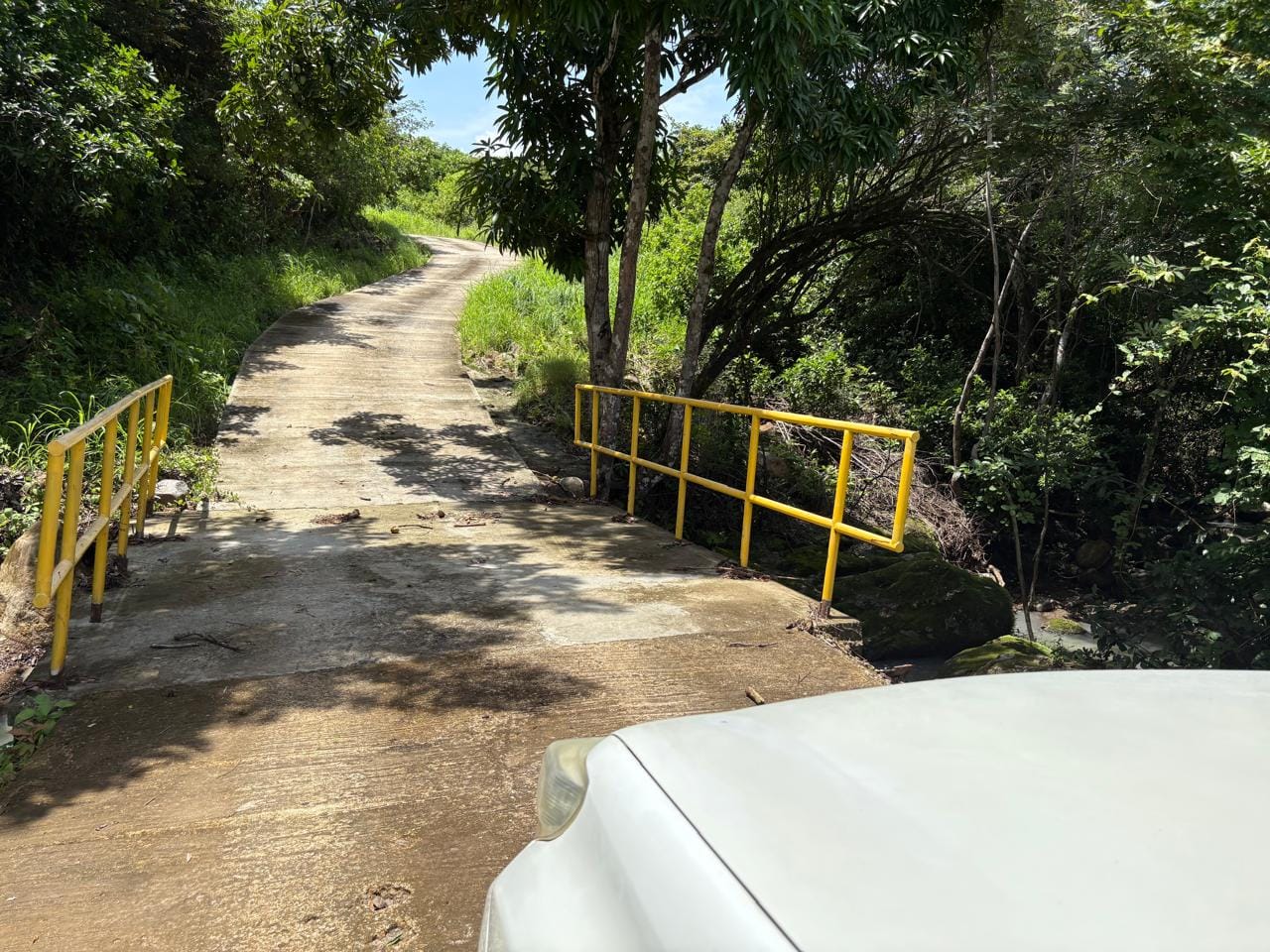 Entorno natural del proyecto
